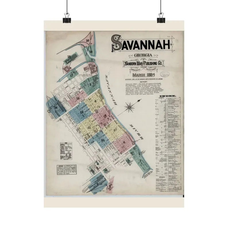 1884 Savannah Map Print