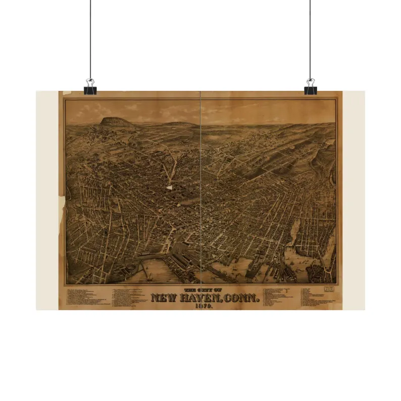 1879 New Haven Map Print
