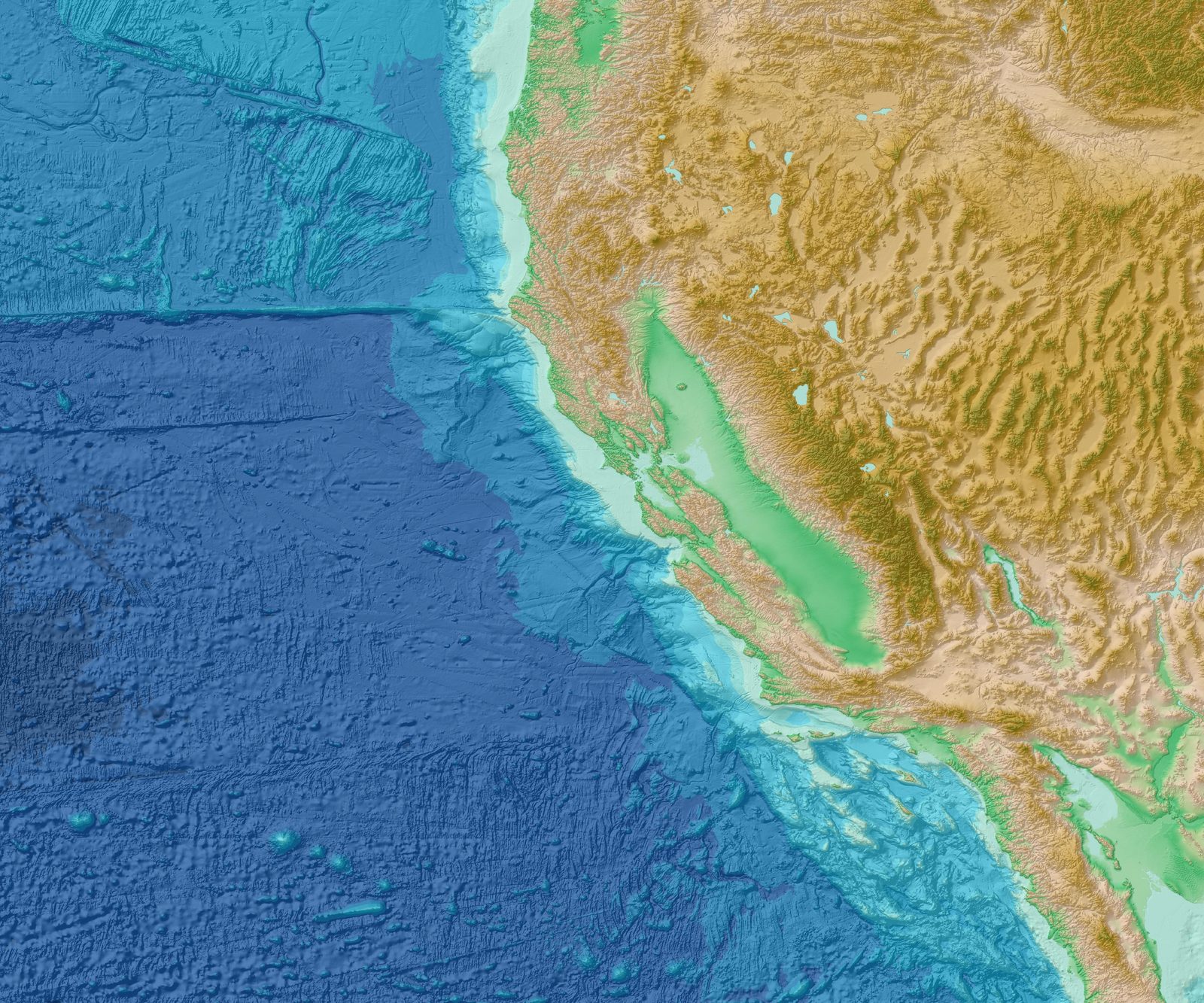 Bathymetry render of the eastern Pacific off the American West Coast