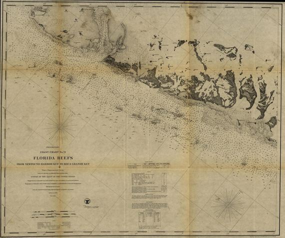 Florida Reefs 1864