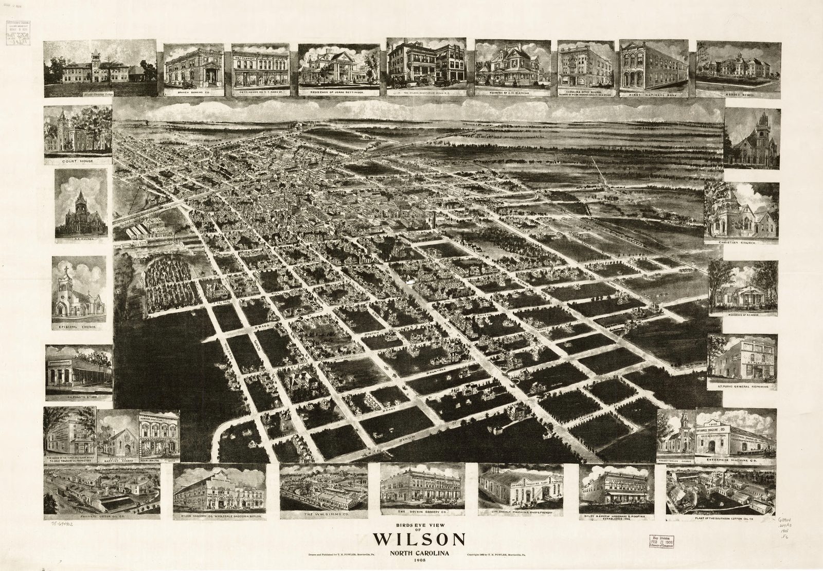 Wilson 1908